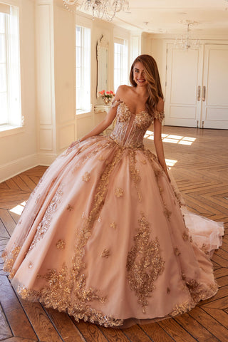 Schulterfreies Ballkleid mit 3D-Schmetterling von Juliet JT1485J