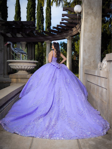 Vestido de baile sem mangas com mangas abalonadas de LizLuo Quince 26086