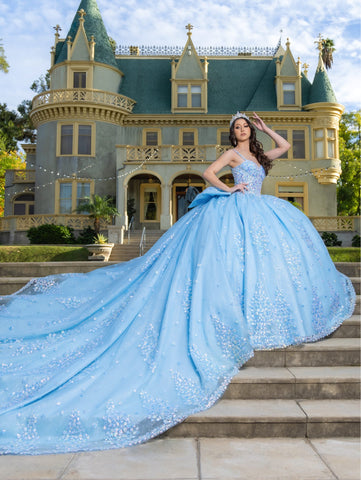 Vestido de baile sem mangas com mangas abalonadas de LizLuo Quince 26086