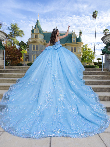 Vestido de baile sem mangas com mangas abalonadas de LizLuo Quince 26086