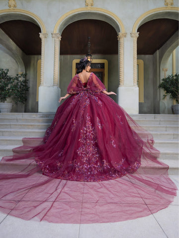 Vestido de baile com aplicações e manga curta de LizLuo Quince 26087