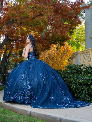 Vestido de baile com aplicações e manga curta de LizLuo Quince 26087