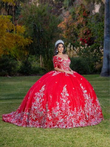 Vestido de baile com aplicações e manga curta de LizLuo Quince 26088