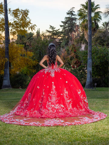Vestido de baile com aplicações e manga curta de LizLuo Quince 26088