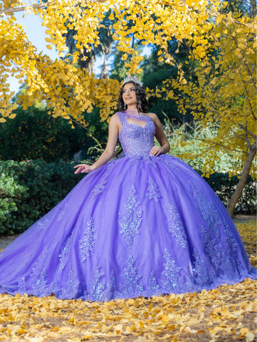 Vestido de baile convertível com aplicações da LizLuo Quince 26091