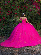 Applique Convertible Ball Gown by LizLuo Quince 26091