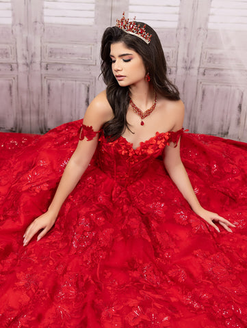 Vestido de baile com aplicações e mangas compridas da LizLuo Quince 26092
