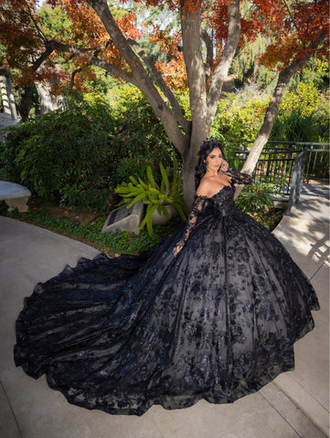 Vestido de baile com aplicações e mangas compridas da LizLuo Quince 26092