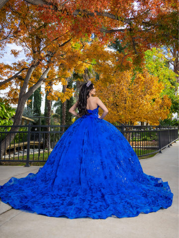 Vestido de baile com aplicações e mangas compridas da LizLuo Quince 26092