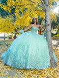 Trägerloses Ballkleid mit Applikation von LizLuo Quince 26094
