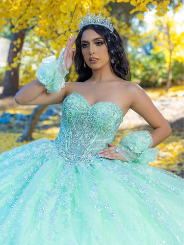 Vestido de baile sem alças com aplicações, de LizLuo Quince 26094
