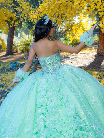 Vestido de baile sem alças com aplicações, de LizLuo Quince 26094