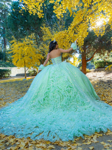 Vestido de baile sem alças com aplicações, de LizLuo Quince 26094