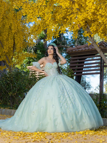Trägerloses Korsett-Ballkleid von LizLuo Quince 26096