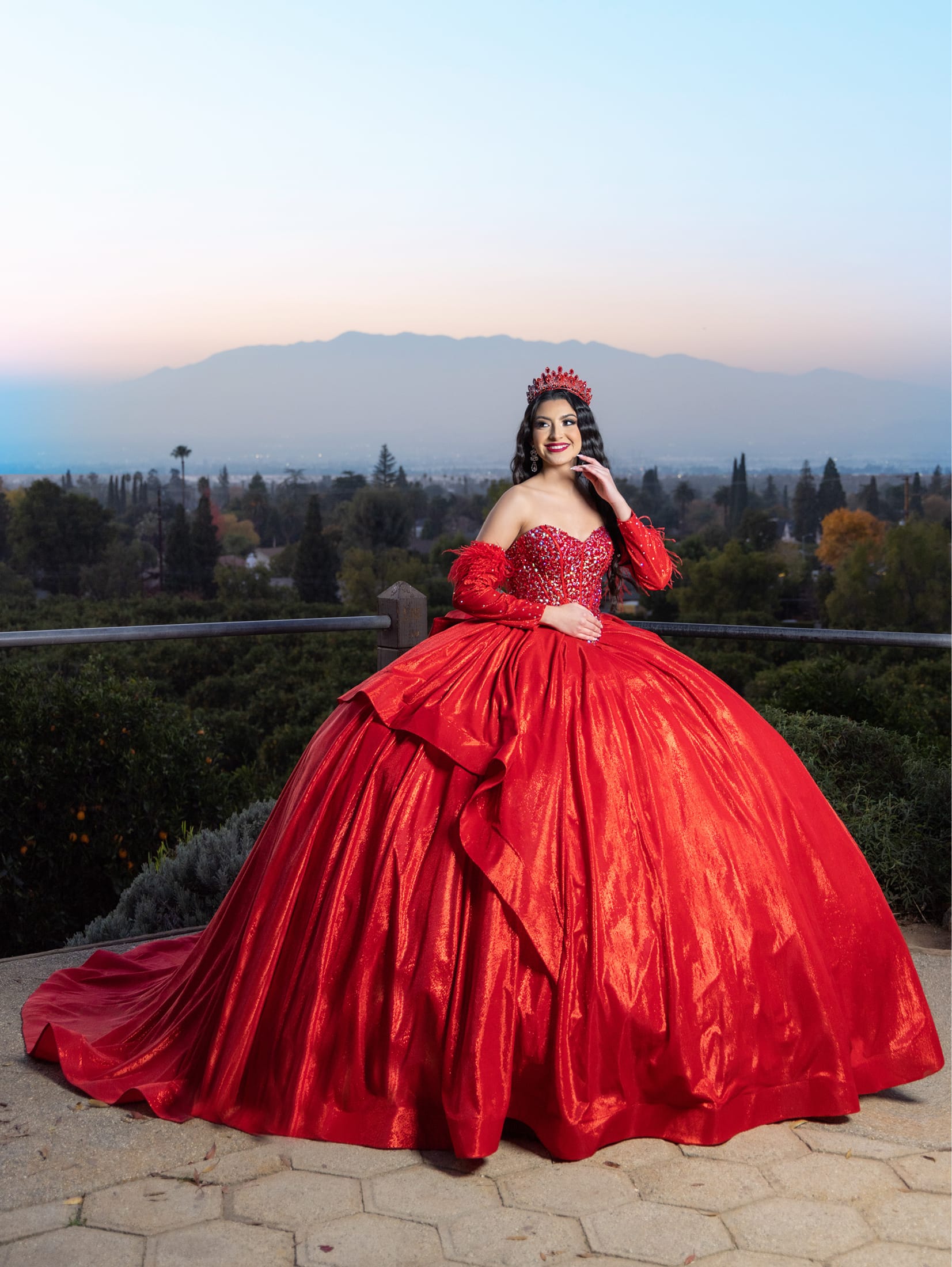 Long Sleeve Feather Ball Gown by LizLuo Quince 26097