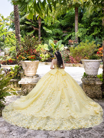 Ballkleid mit Applikation und Herzausschnitt von LizLuo Quince 26100