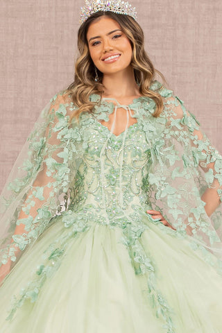 3D Schmetterlings-Umhang-Ballkleid von Elizabeth K GL3104