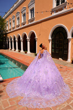 3D Butterfly Cape Quinceanera Dress by Amarra 54281