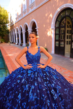 3D Butterfly Cloak Quinceanera Dress by Amarra 54260