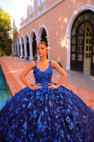 3D-Schmetterlingsumhang Quinceanera-Kleid von Amarra 54260