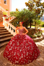 3D Butterfly Cloak Quinceanera Dress by Amarra 54260