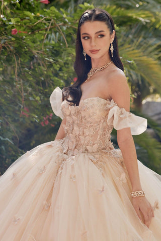 3D Schmetterling Off Shoulder Korsett Ballkleid von Juliet JT1448J