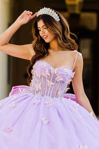 3D Butterfly Transparentes Korsett-Ballkleid von Petite Adele PQ1032