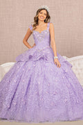 3D Butterfly Sweetheart Ball Gown by Elizabeth K GL3112