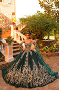 Vestido de quinceanera com mangas compridas e florais 3D da Amarra 54326