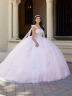 3D-Blumenkorsett-Quinceanera-Kleid von House of Wu 26067