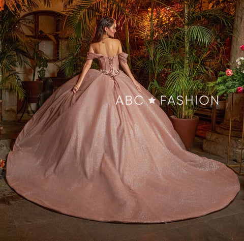 3D-Blumen-Glitzer-Quinceanera-Kleid von Ragazza EV15-615