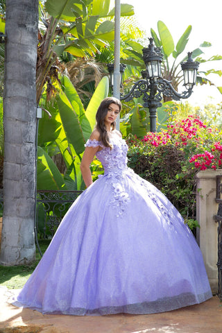 Schulterfreies Ballkleid mit 3D-Blumenmuster von Petite Adele PQ1002