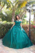 Schulterfreies Ballkleid mit 3D-Blumenmuster von Petite Adele PQ1002