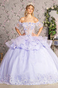 Robe de bal à bustier transparent avec motifs floraux en 3D par Elizabeth K GL3180