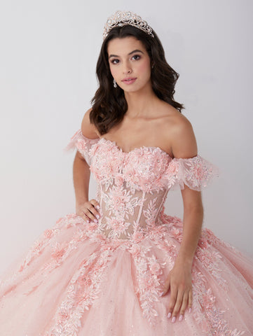 Quinceanera-Kleid mit transparentem Korsett und 3D-Blumenmuster von Fiesta Gowns 56465