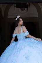 Vestido de baile sem mangas com espartilho e estampado floral 3D da Petite Adele PQ1048