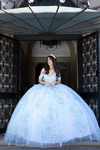 Ärmelloses Korsett-Ballkleid mit 3D-Blumenmuster von Petite Adele PQ1048