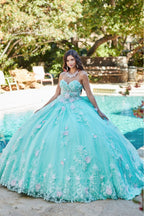 Trägerloses Korsett-Ballkleid mit 3D-Blumenmuster von Petite Adele PQ1049