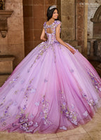 Vestido de quinceanera com estampado floral 3D e coração de Rachel Allan RQ3125