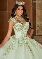 Vestido de quinceanera com estampado floral 3D e coração de Rachel Allan RQ3125