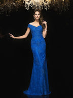 Mermaid V neck Lace Sleeveless Long Lace Mother of the Bride Dresses