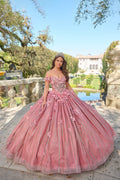 Abito da Quinceañera Corsetto Spalla Scoperta di Amarra 54226
