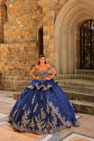 Schulterfreies Ballkleid mit Applikation von Amarra 54235