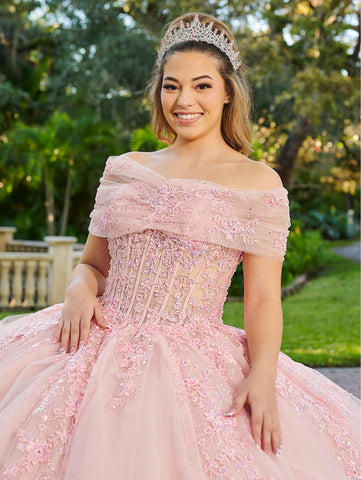 Vestido de quinceanera de manga comprida da marca LizLuo Fiesta 56508