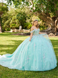 3D-Schmetterlings-Quinceanera-Kleid von LizLuo Fiesta 56515