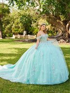 3D Butterfly Quinceanera Dress by LizLuo Fiesta 56515
