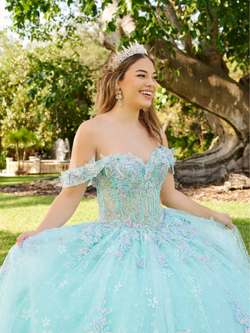3D-Schmetterlings-Quinceanera-Kleid von LizLuo Fiesta 56515