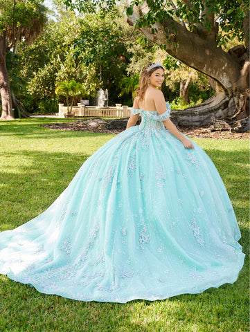 3D-Schmetterlings-Quinceanera-Kleid von LizLuo Fiesta 56515