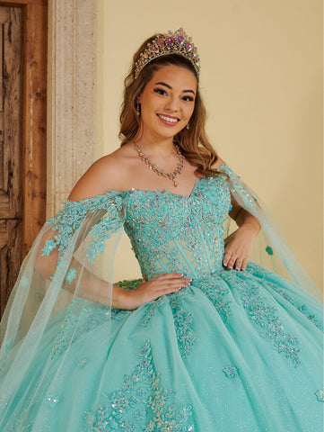 Vestido de quinceanera com mangas compridas da marca LizLuo Fiesta 56516