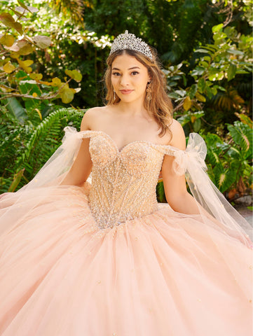 Vestido de quinceanera com mangas compridas da marca LizLuo Fiesta 56518